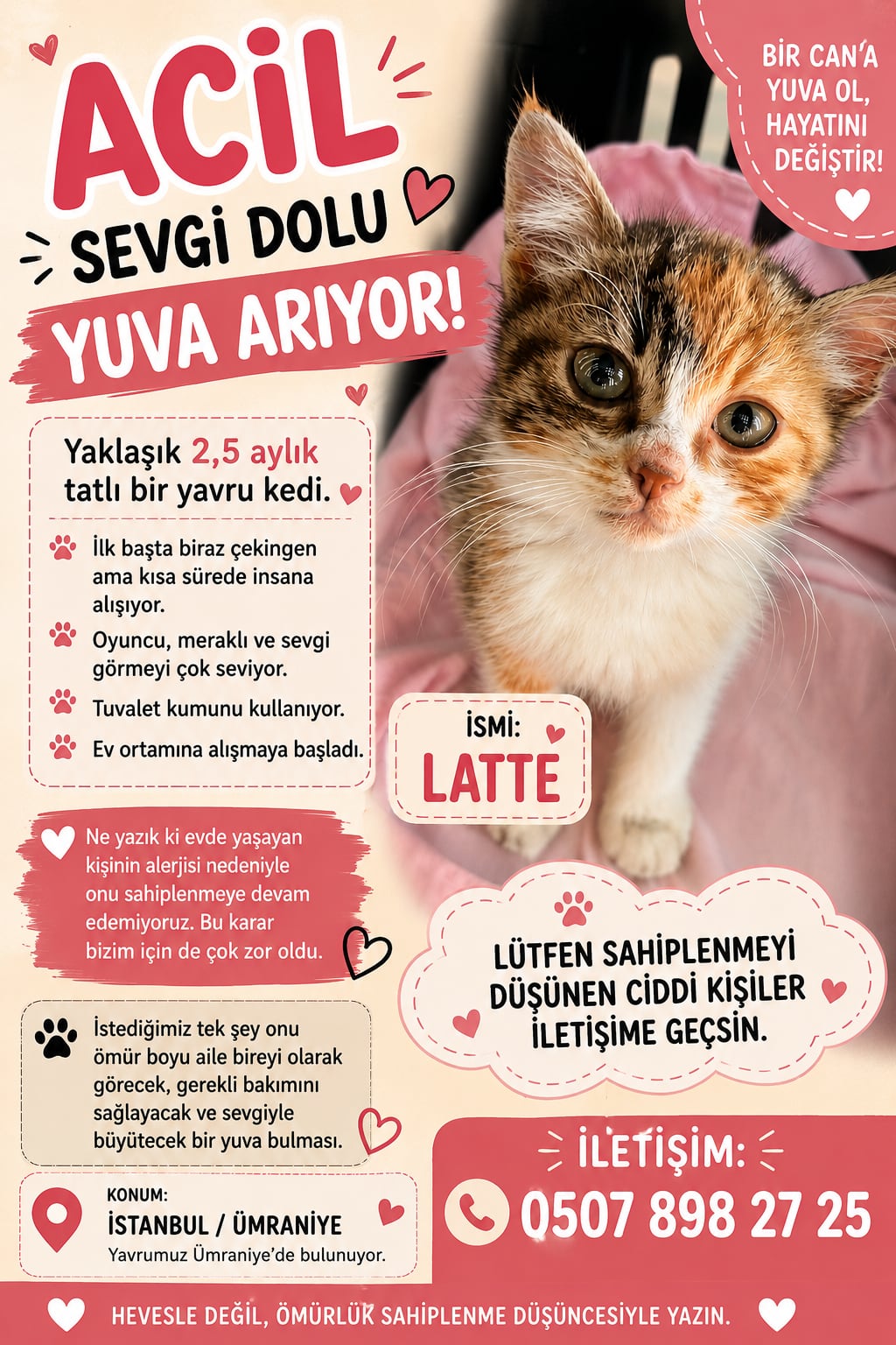 LATTE sahiplendirme ilanı